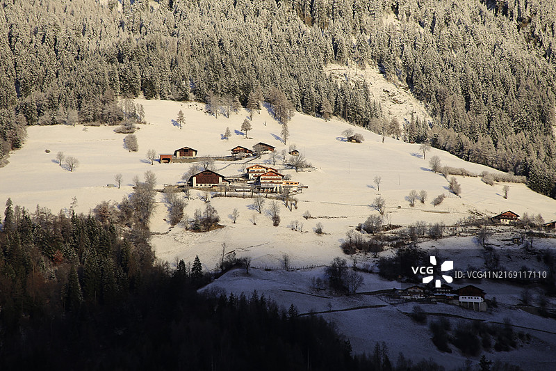 意大利梅拉诺雪原树木高角度景观图片素材