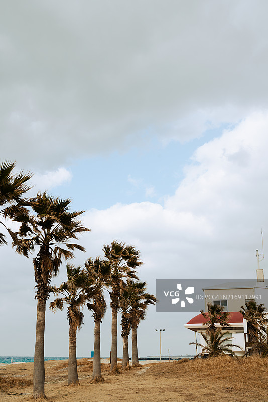 海滩对着天空的美景图片素材