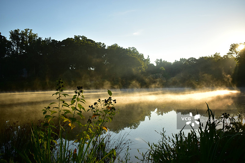 佐治亚州松树湖的湖景风光图片素材