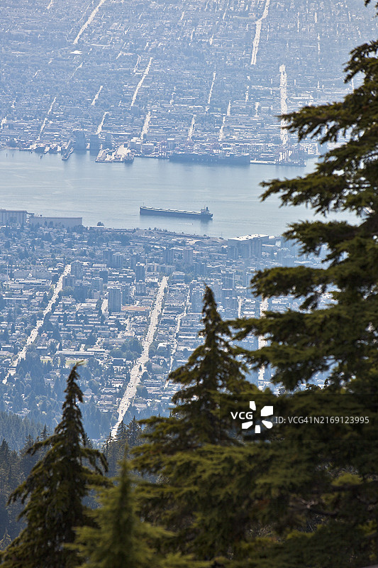 城市街道和针叶树后方港口中货船的俯视角度图片素材