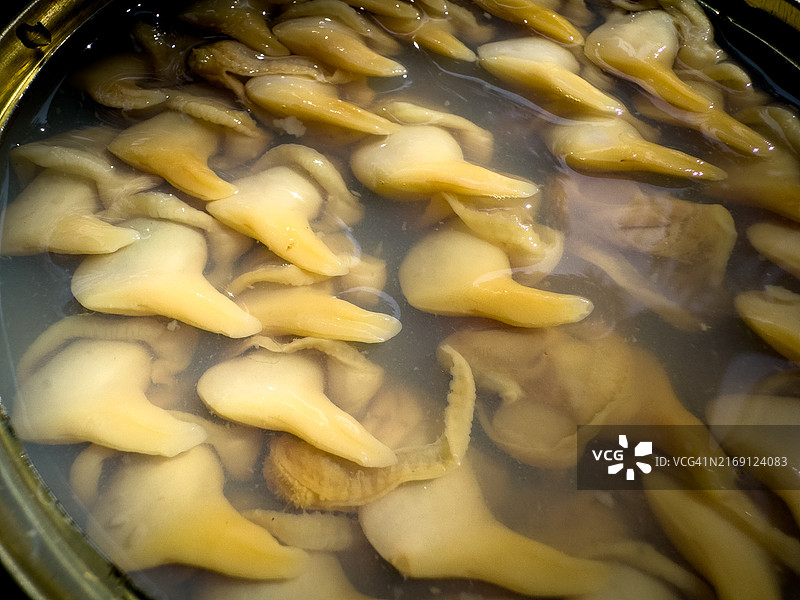 腌制鲜蛤图片素材