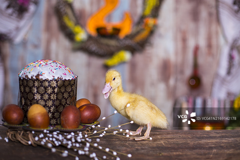 桌子上小鸭子与小鸡的特写图片素材