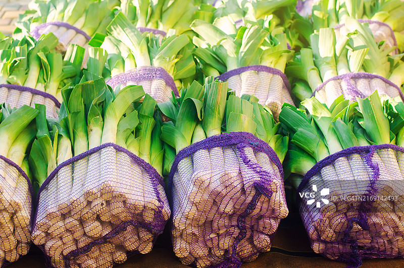 网袋中的新鲜韭葱，待售。收获农业和耕作，新鲜采摘的农业综合企业，农业产业，种植有机蔬菜图片素材