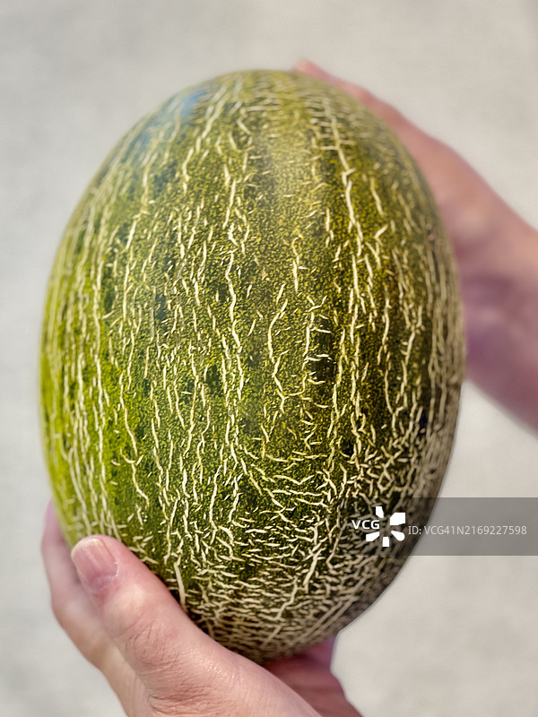 手中的甜瓜图片素材