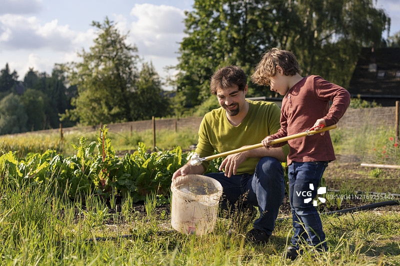 父子在农场用夹子捡垃圾图片素材