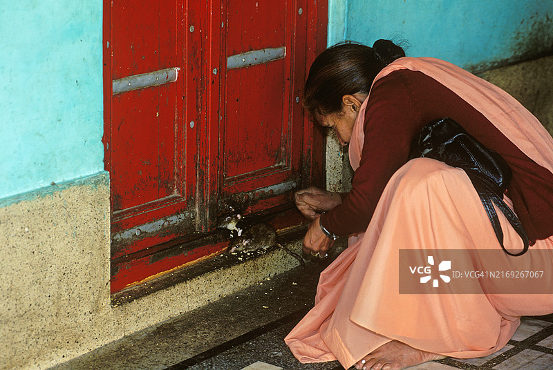 女人在寺庙里喂老鼠图片素材
