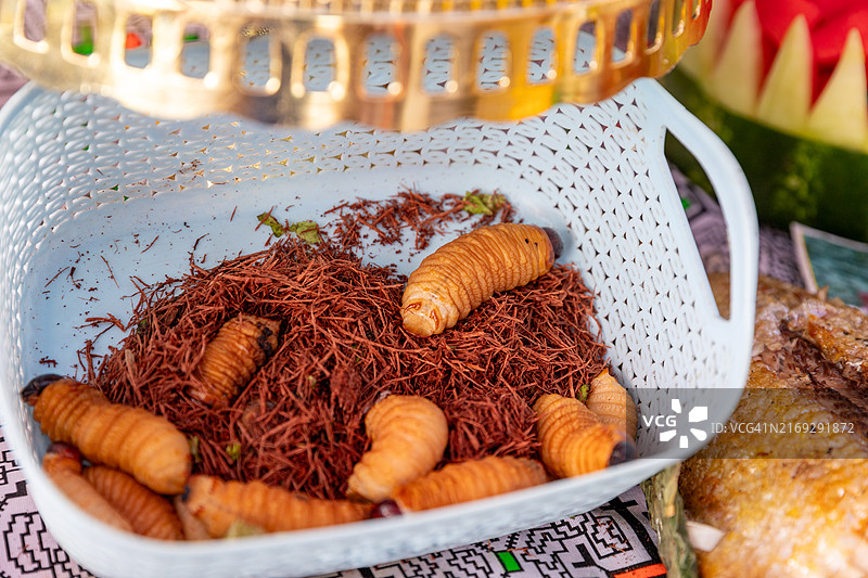 秘鲁丛林高蛋白苏里虫图片素材