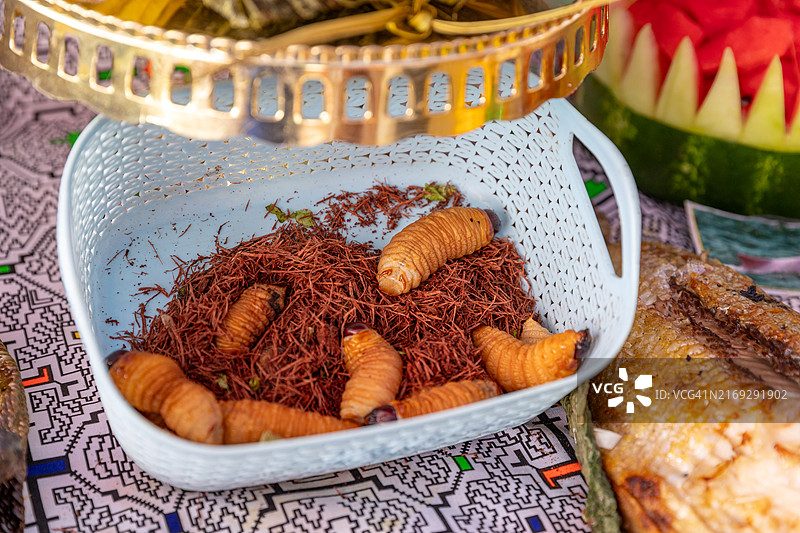 秘鲁丛林高蛋白苏里虫图片素材