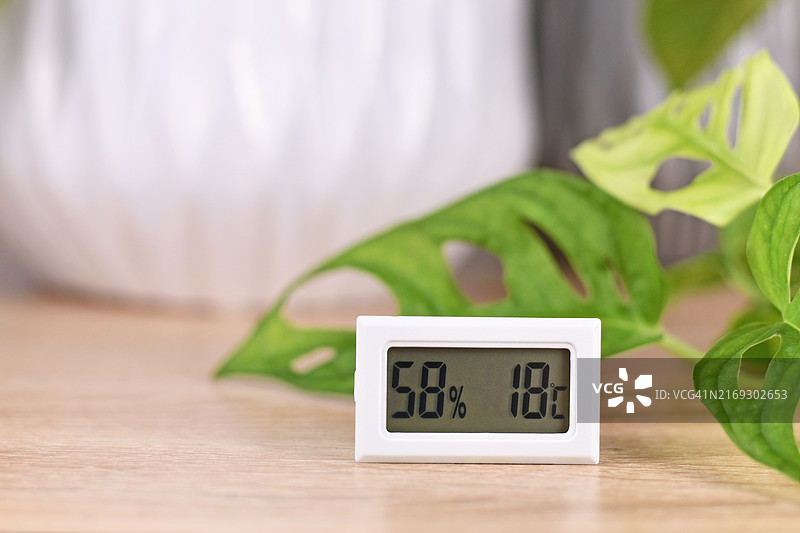用于测量室内植物湿度和温度的温湿度计图片素材