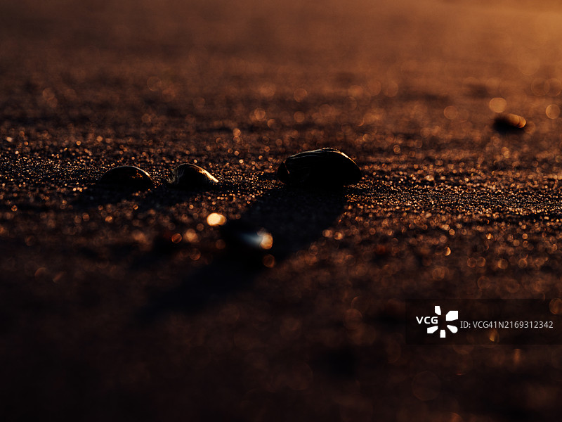 美国新泽西州布拉德利海滩沙滩上的鹅卵石特写图片素材