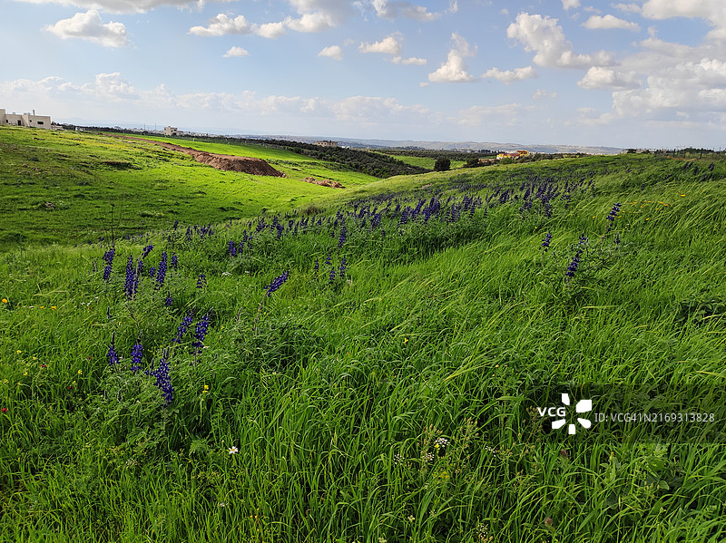 约旦伊尔比德省伊尔比德县的田野风光图片素材