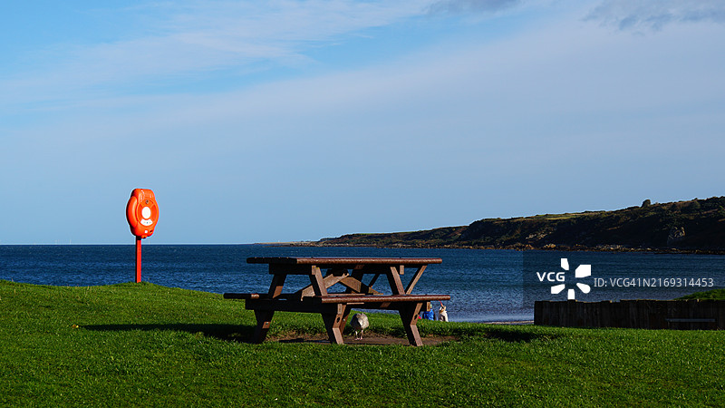 英国海边田野上的空长椅图片素材