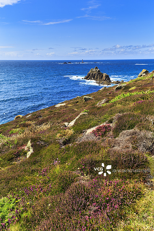 英格兰康沃尔郡大西洋海岸线石楠花图片素材
