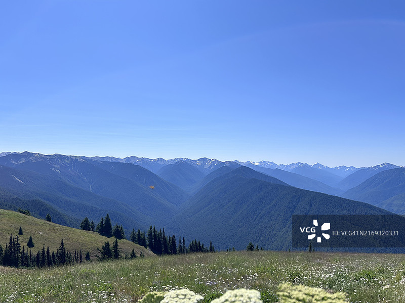 美国华盛顿州克拉勒姆县的田野与晴朗蓝天美景图片素材
