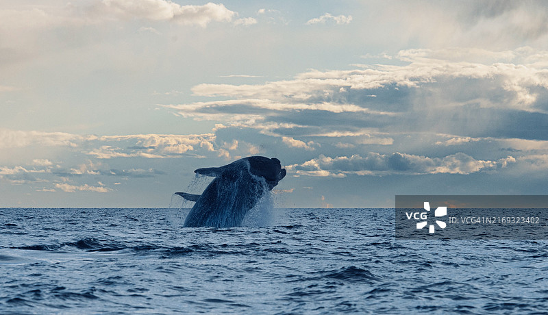 阿根廷海景风光图片素材
