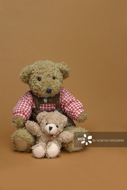 两只坐在棕色背景前的泰迪熊图片素材
