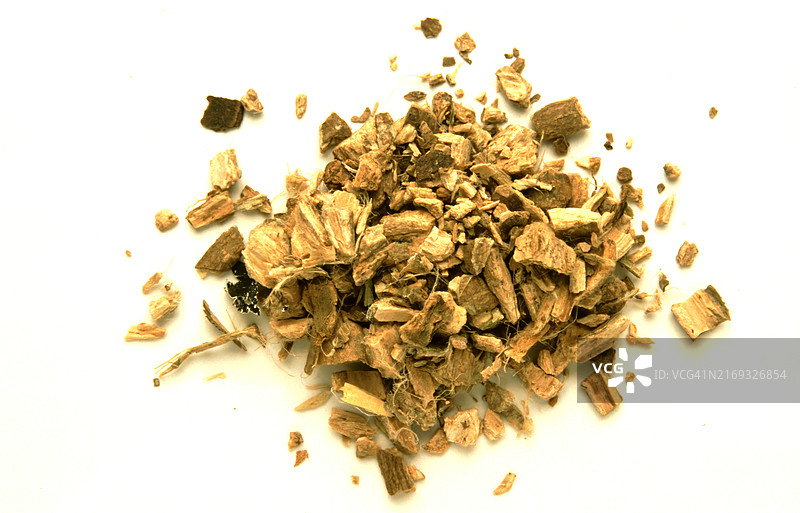 药用草药：杠柳树皮，杠柳，杠柳灌木在植物医学中用作苦味药。树皮提取物Cortex Condurango用作食欲不振的健胃剂图片素材