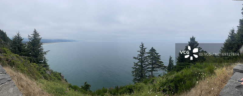 俄勒冈州蒂拉穆克县的树木公路风光图片素材