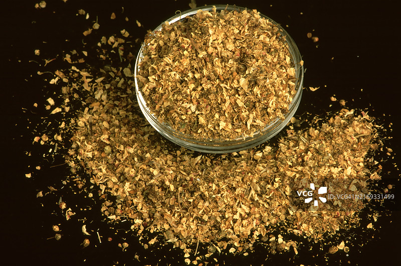 药草：真风箱草（Filipendula ulmaria），干燥花朵，古代药用植物图片素材