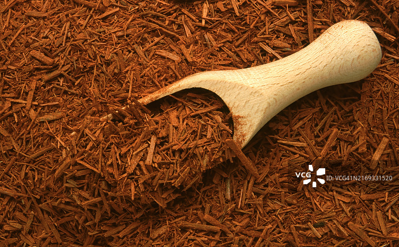 药用草本：血木树，用于治疗痢疾、腹泻、盗汗等图片素材