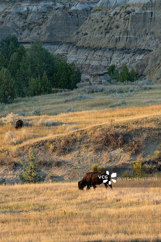北达科他州荒地日落图片素材