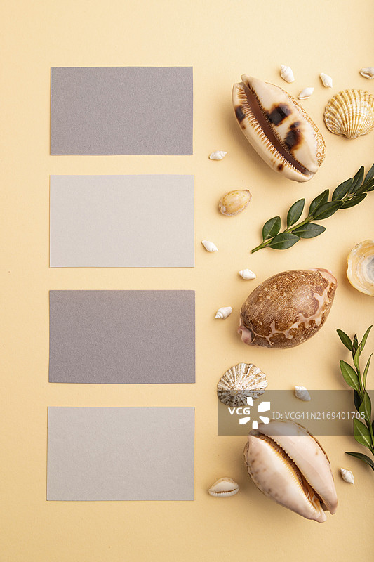 橙色背景上的灰色纸质名片、贝壳、绿色黄杨的组合模型图片素材