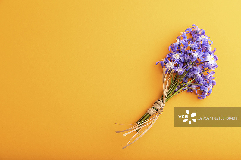 春季雪滴花、风铃草、橘色粉彩背景，顶部视图，留白图片素材