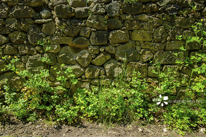 由田石制成的破旧砖石结构，前方有茂盛的绿色植物图片素材