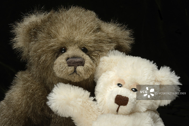 两只泰迪熊图片素材