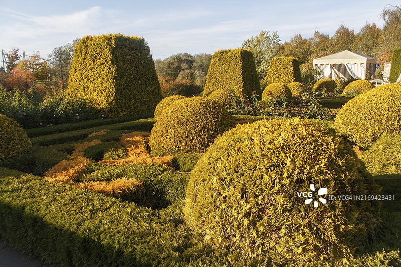带有植物造型、树篱和修剪灌木的乡村花园现代景观设计图片素材