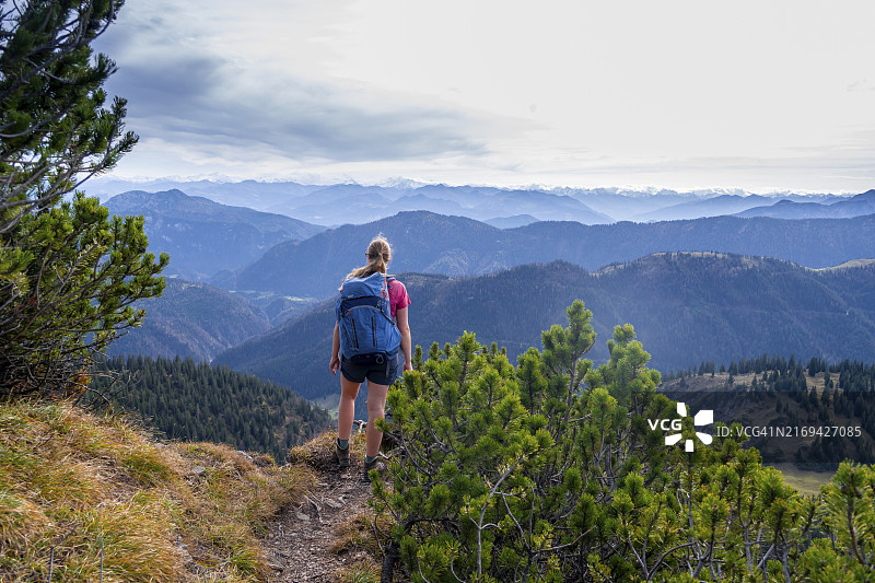登山者在山松间的徒步小径上，位于德国巴伐利亚阿尔卑斯山图片素材