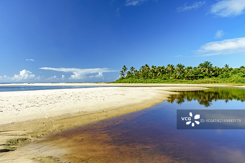 巴伊亚州Serra Grande海滩：椰树背景下的河海交汇处图片素材