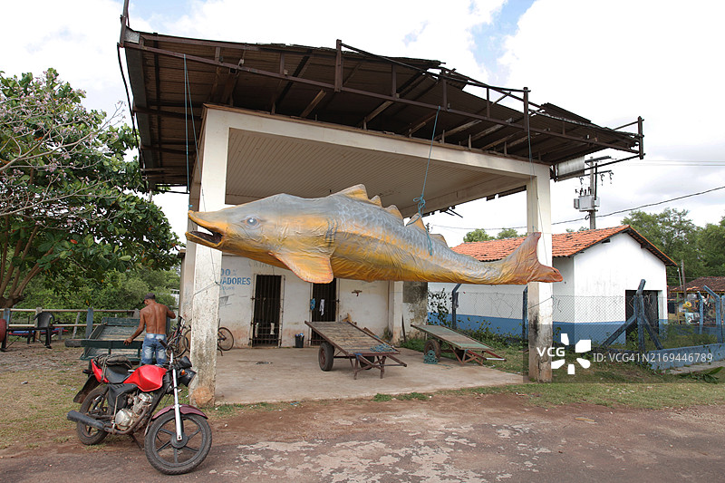 Marajó巴西亚马逊岛图片素材