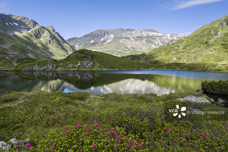 施拉德明陶厄恩山脉的吉格拉赫湖高山灌木景观图片素材