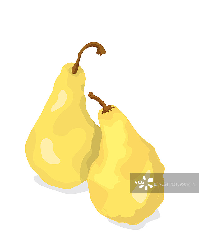 白色背景上的两颗金色梨子矢量图图片素材