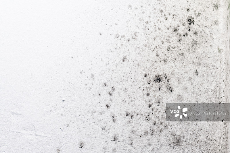 白色墙壁上的霉菌斑点图片素材