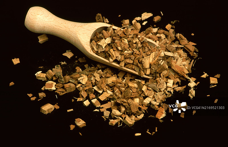 榆树皮药用植物，可缓解口腔和喉咙炎症图片素材