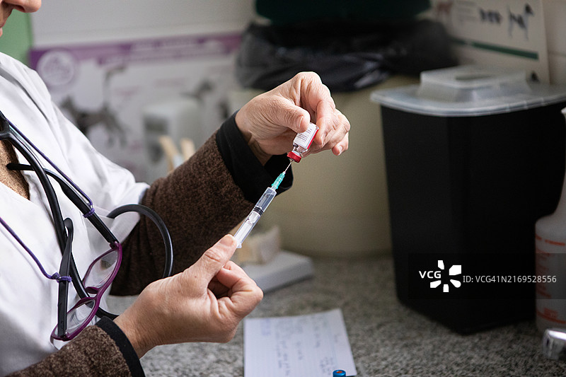 女兽医准备疫苗注射器图片素材