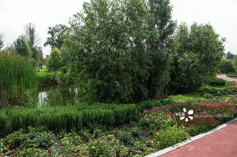 墨西哥墨西哥城霍奇米尔科生态公园的花坛图片素材