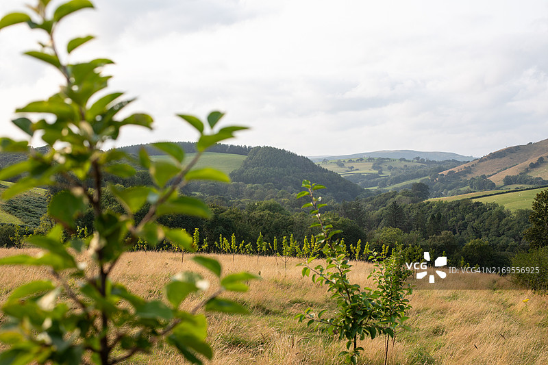 威尔士的户外生活图片素材