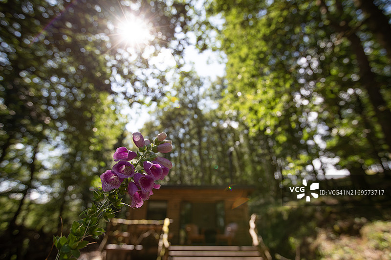 威尔士的宁静天堂图片素材