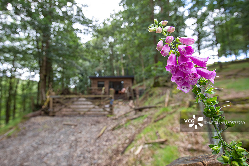 威尔士中部乡村风光图片素材