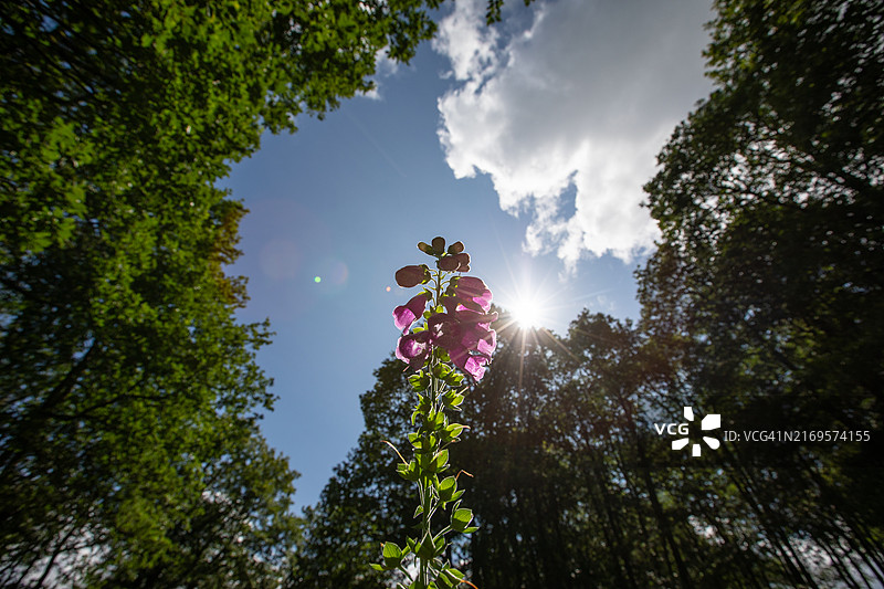威尔士乡村风光图片素材