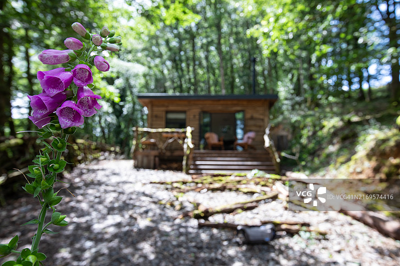 脱离电网的生活，英国图片素材