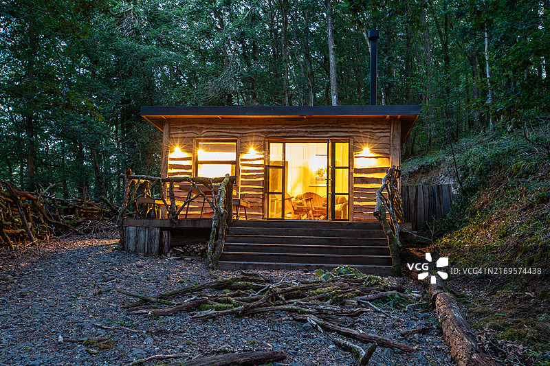 威尔士中部林地生活图片素材