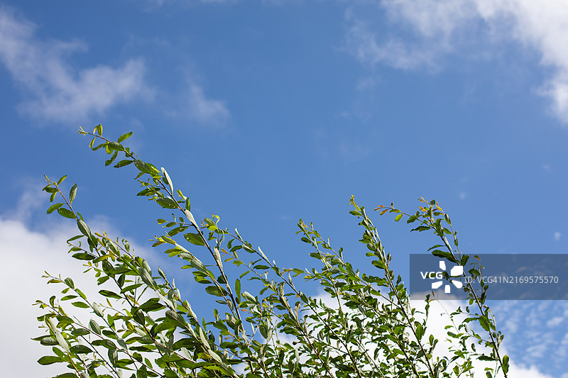 威尔士中部乡村风光图片素材