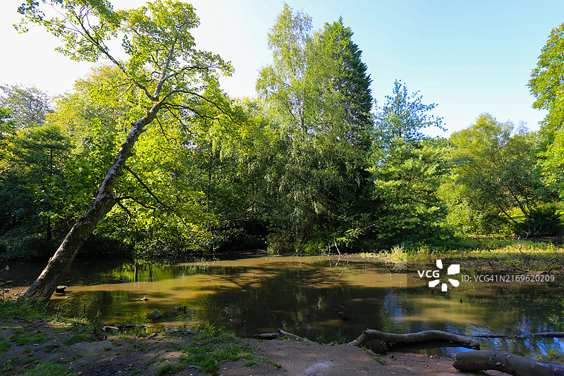 曼彻斯特希顿公园图片素材