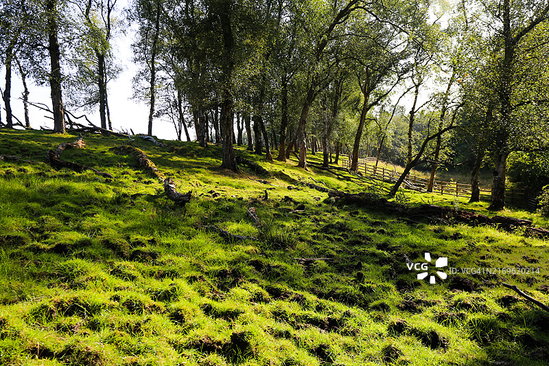 曼彻斯特希顿公园图片素材