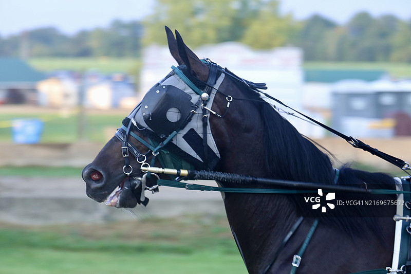 赛马特写图片素材
