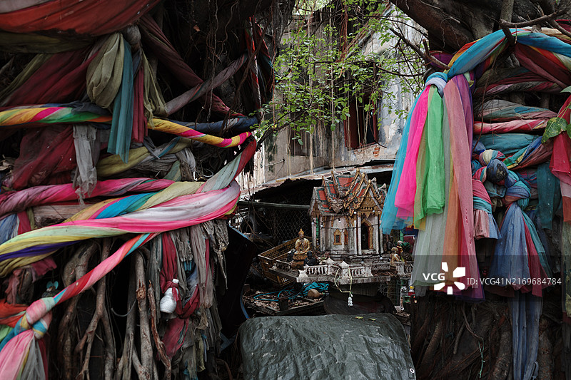 精神场所中装饰着鲜艳彩色织物的神树图片素材